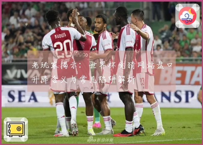 老玩家揭示:世界杯竞猜网站盘口升降含义与常见陷阱解析